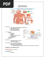 Download Endocrine System by theglobalnursing SN101129343 doc pdf