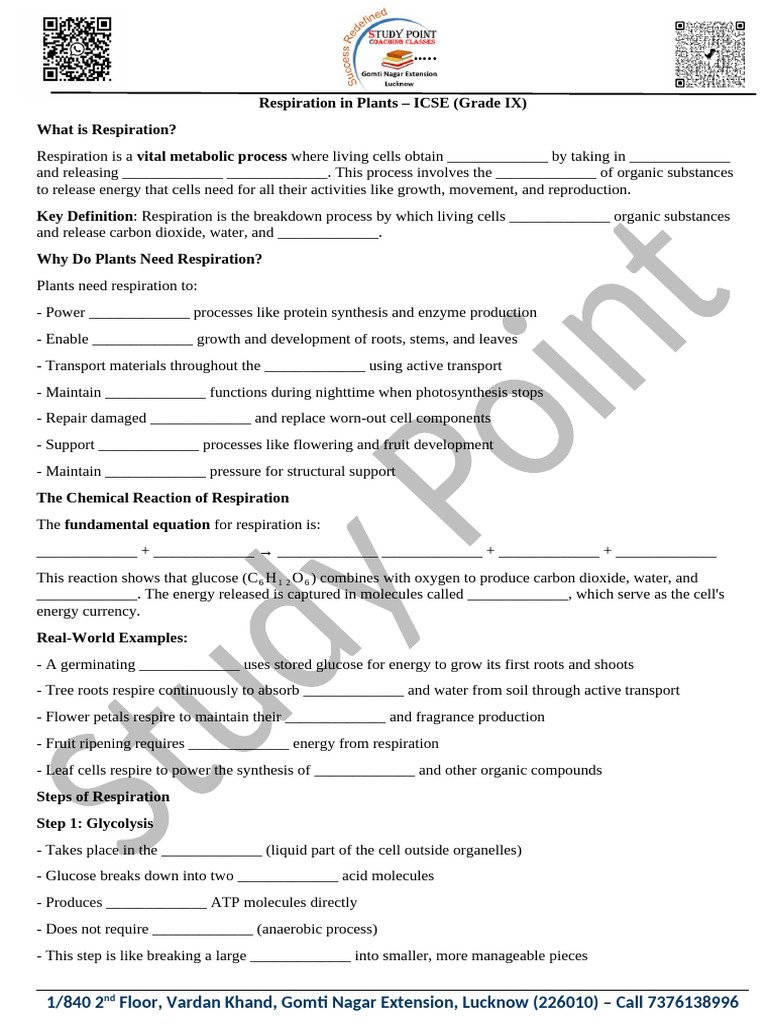 Respiration in Plant Grade 9 | PDF | Cellular Respiration | Carbon Dioxide