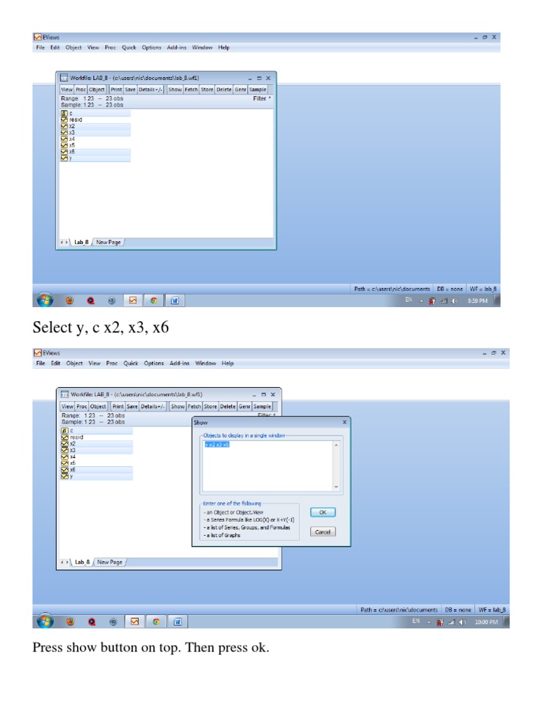 Pratical 8 Eviews Guideline | PDF