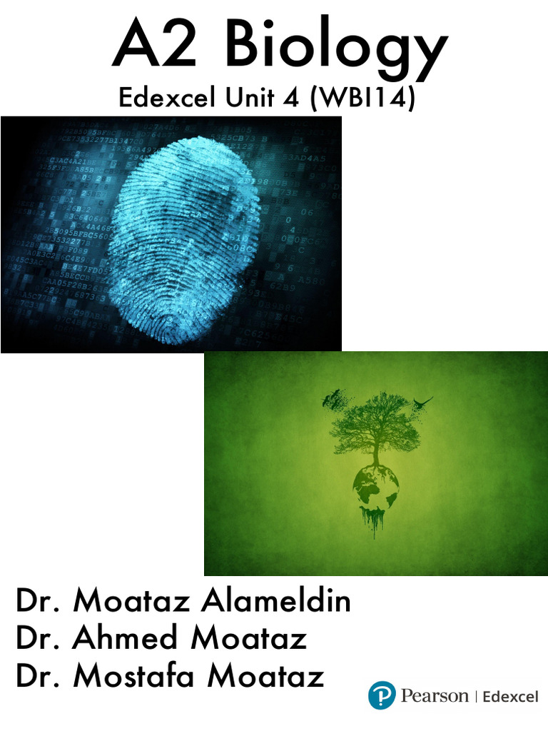 Unit 4 New Notes | PDF | Photosynthesis | Chloroplast