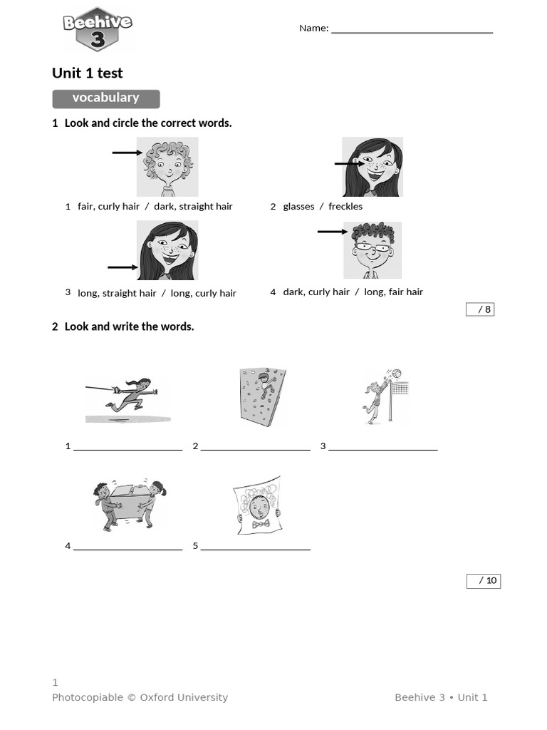Beehive Tests Level 3 Unit Test 1 | PDF