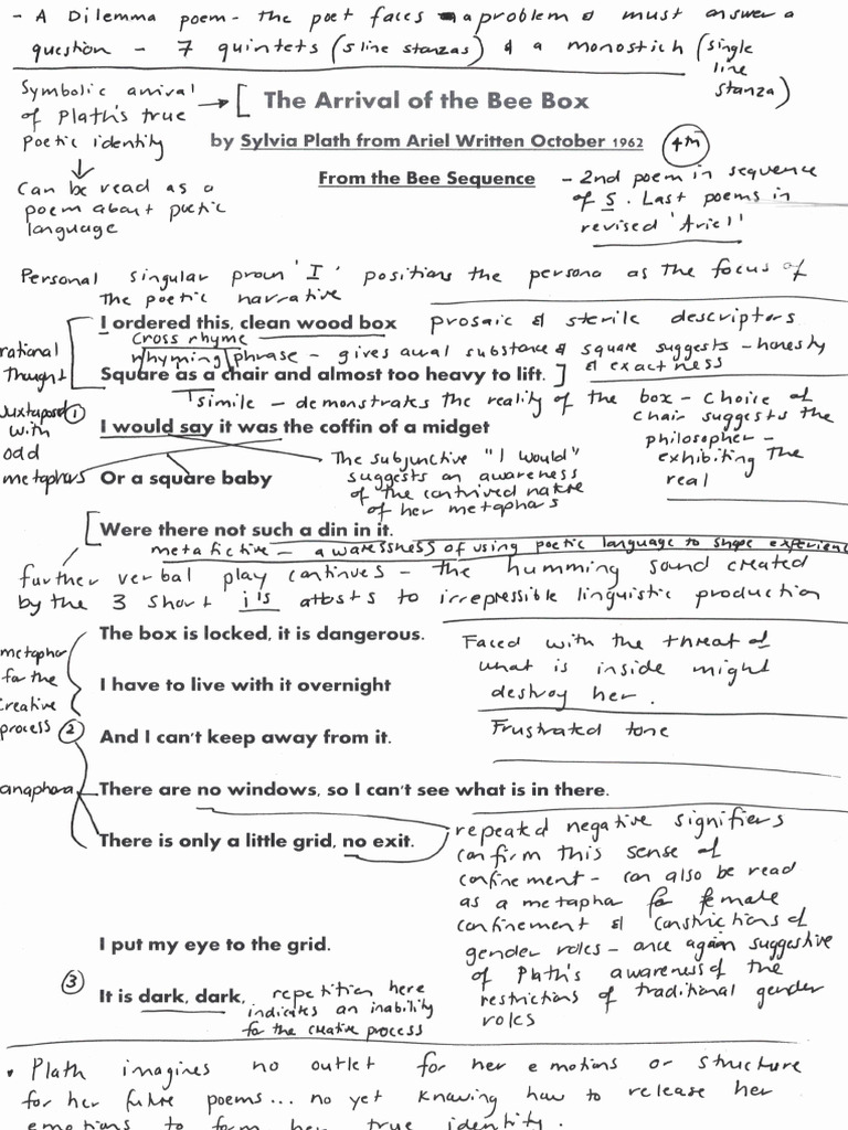 The Arrival of The Bee Box Annotations | PDF