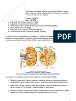 Fisio Log I Arenal