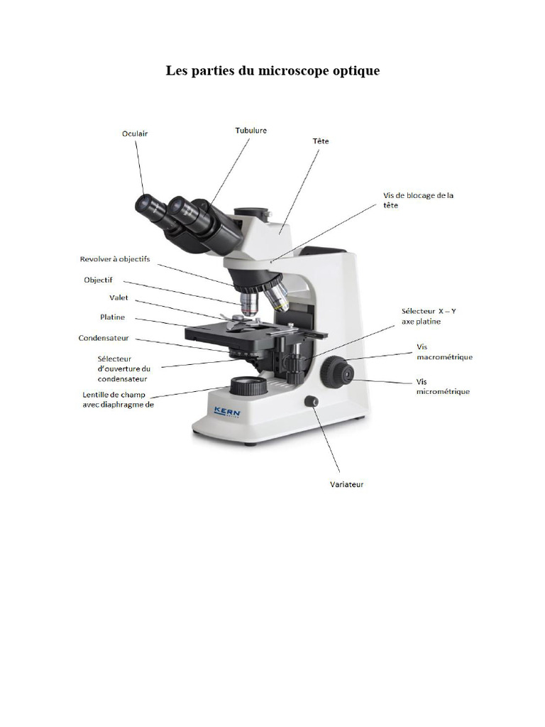 Les Parties Du Microscope Optique | PDF
