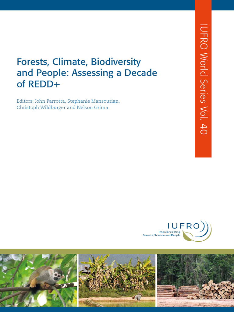 Ws 40 | PDF | Deforestation | United Nations Framework Convention On ...