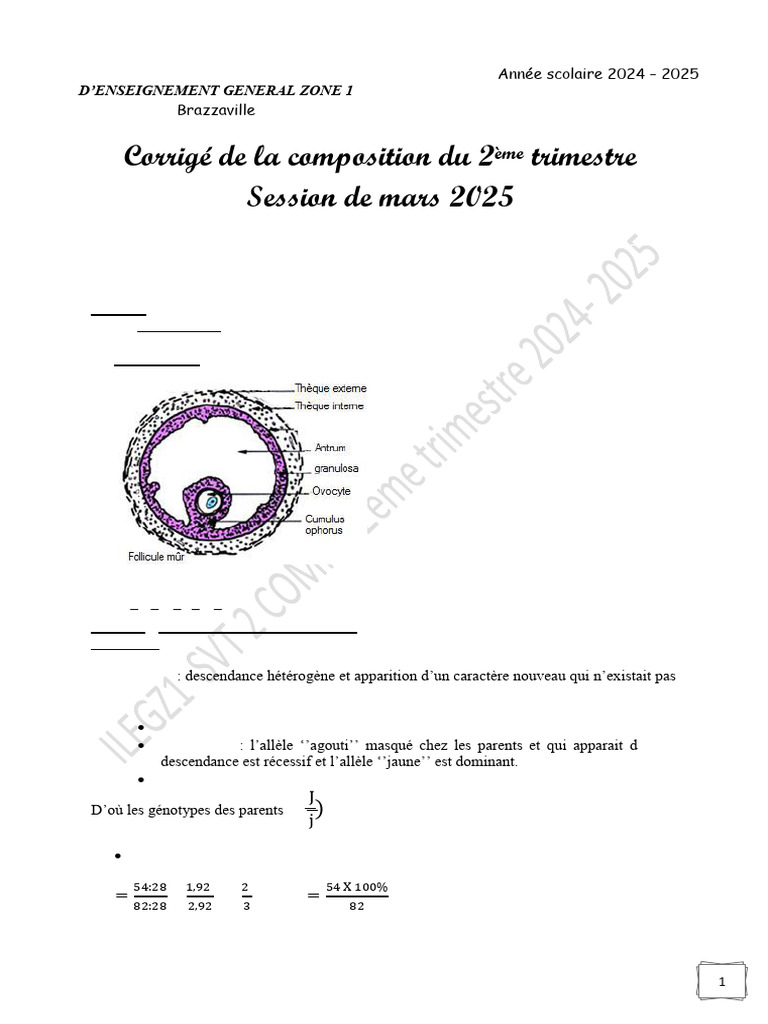 Corrigé SVT2 TD Du 2ème Trimestre 2024-2025 | PDF | Progestérone | Graine