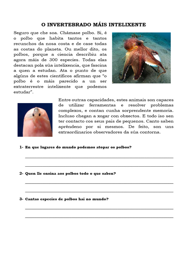 O INVERTEBRADO MÁIS INTELIXENTE | PDF