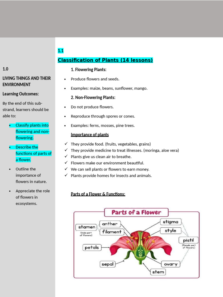 Grade 5 Science and Technology Notes | PDF | Flowers | Breathing