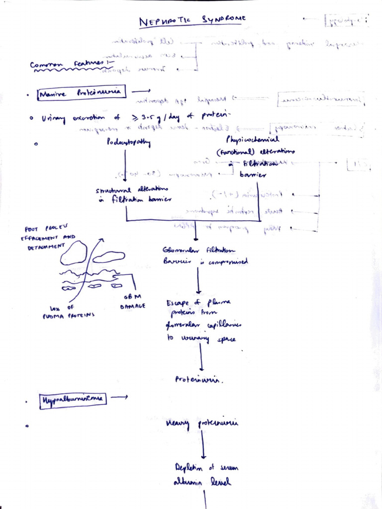 Nephrotic Syndrome | PDF