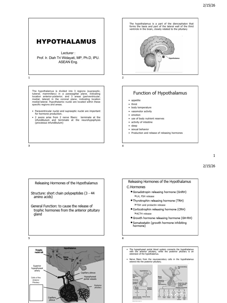 935bf22e6133e01bd466954baede6778 | PDF | Luteinizing Hormone | Hypothalamus