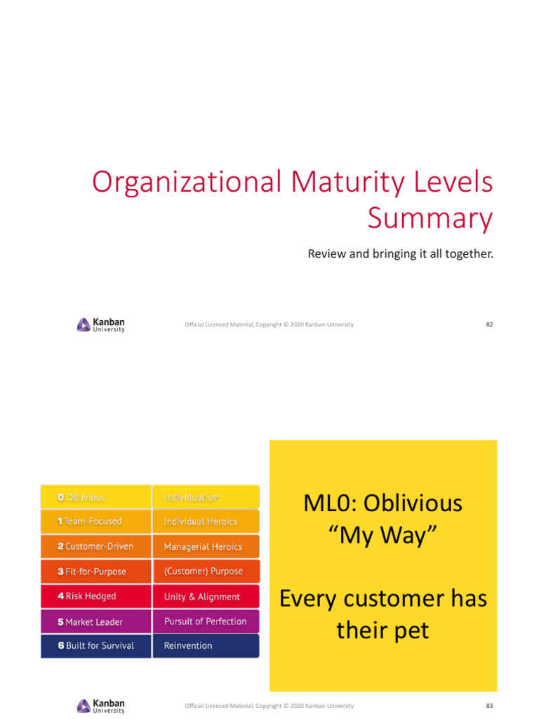 Maturity Levels Overview | PDF | Copyright | Risk
