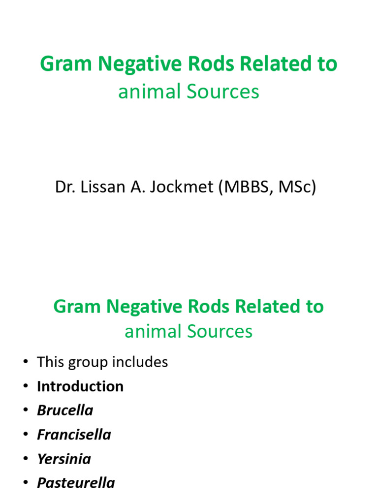 Gram Negative Rods Relateed to Animal Sources | PDF | Microbiology ...