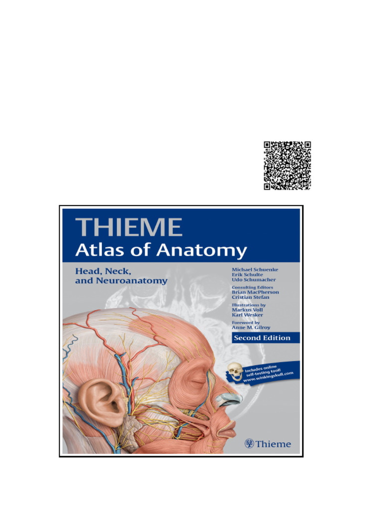 Head Neck and Neuroanatomy (Thieme Atlas of Anatomy) 2nd Edition | PDF ...