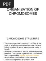 Organisation of Eukaryotic Chromosomes