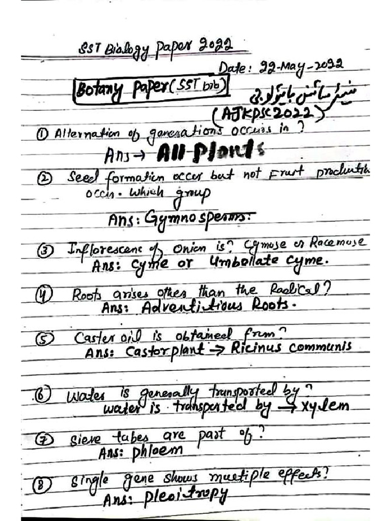 SST Paper 2022 | PDF