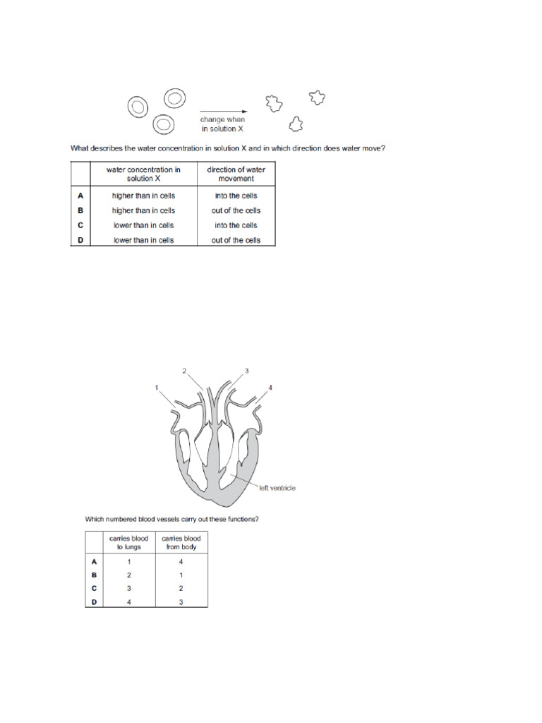 JC Science Paper 1 Kit | PDF | Foods | Birth Control
