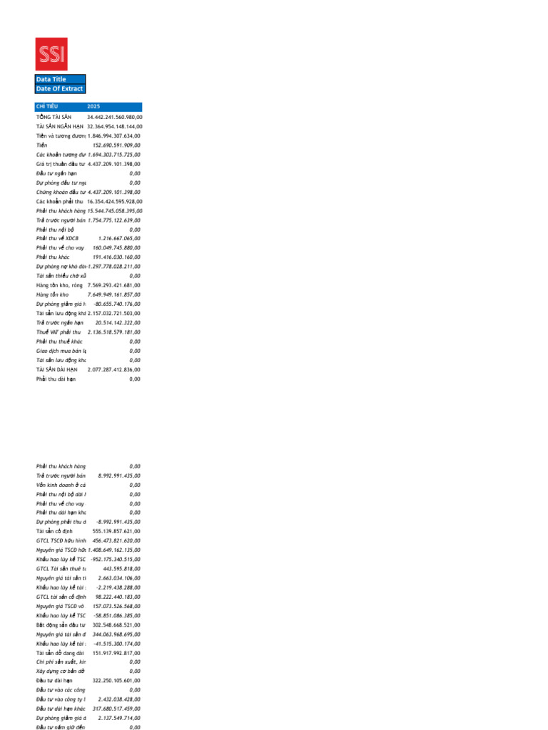 SSI CTD Financial Statement Balance Sheet 08032026 - Sheet1 | PDF