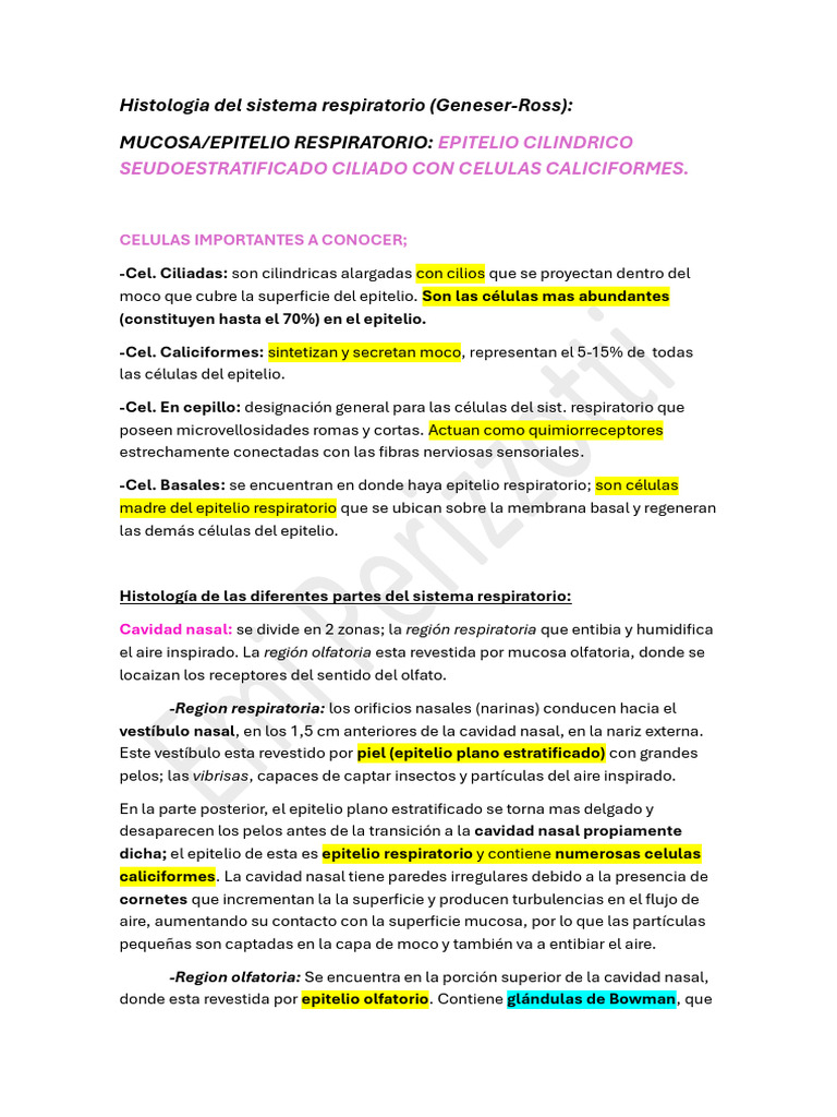 Histo Respi | PDF | Epitelio | Anatomía