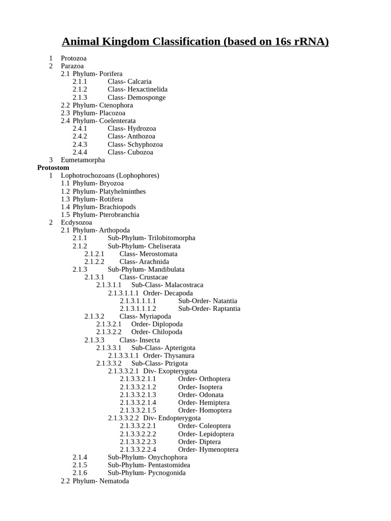 Animal Classification | PDF | Vertebrates | Paleozoic First Appearances