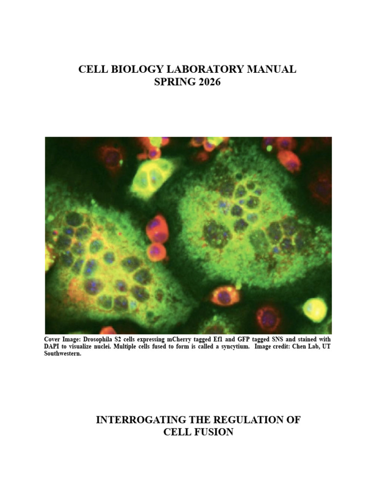 Cell Biology Lab Manual F2026 | PDF | Polymerase Chain Reaction ...