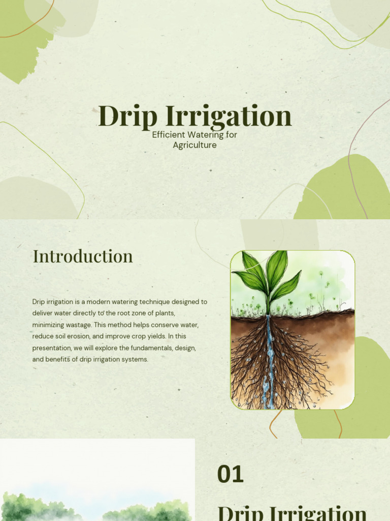 Drip Irrigation - PPTX - 20260226 - 103502 - 0000 | PDF | Irrigation ...