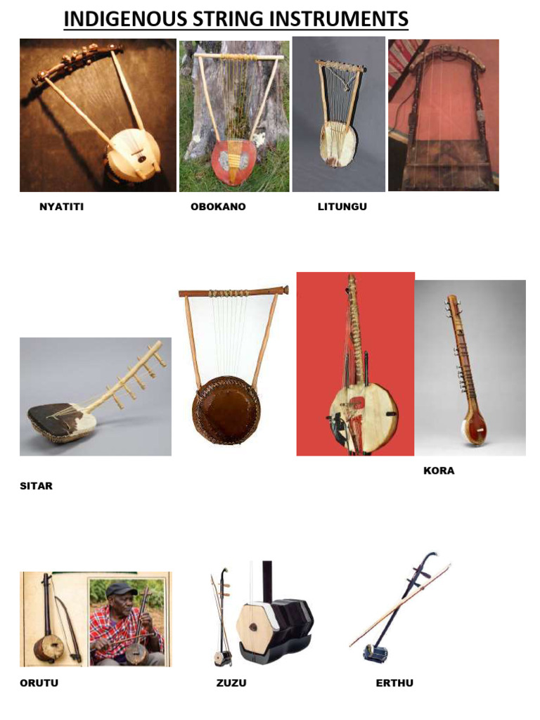 Indigenous String Instruements | PDF