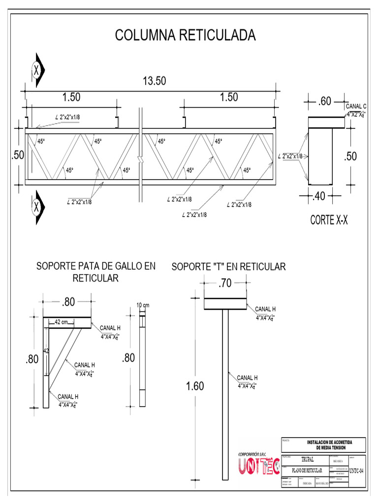 Plano Reticular Trupal Detalles | PDF