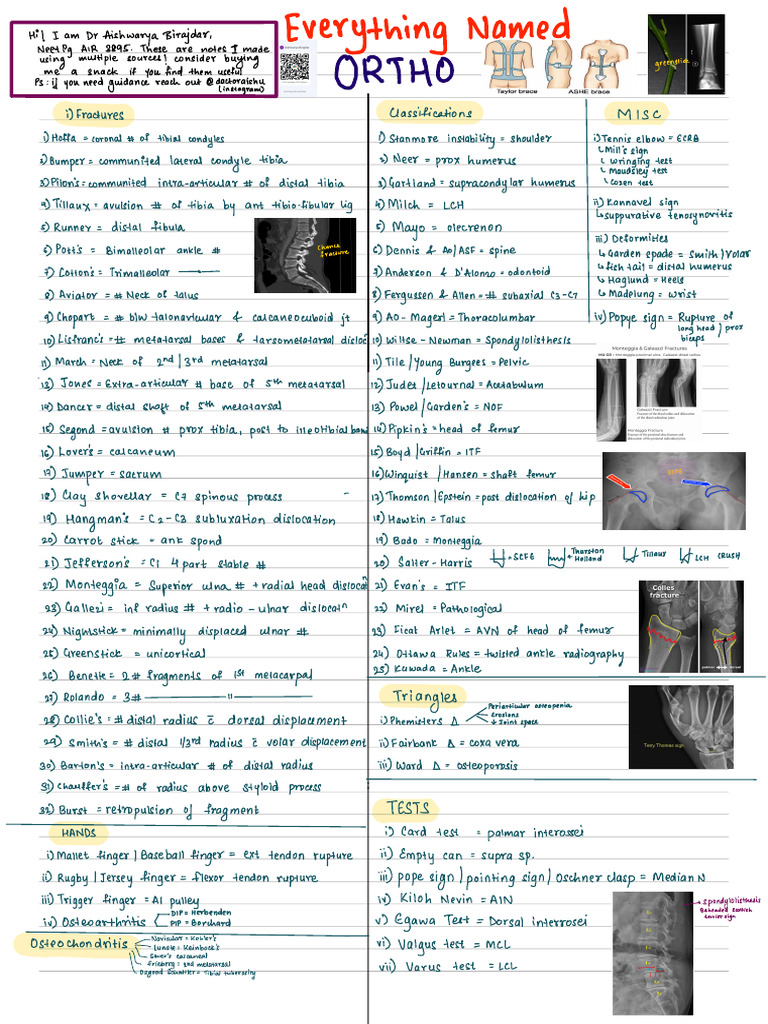 Ortho Named | PDF