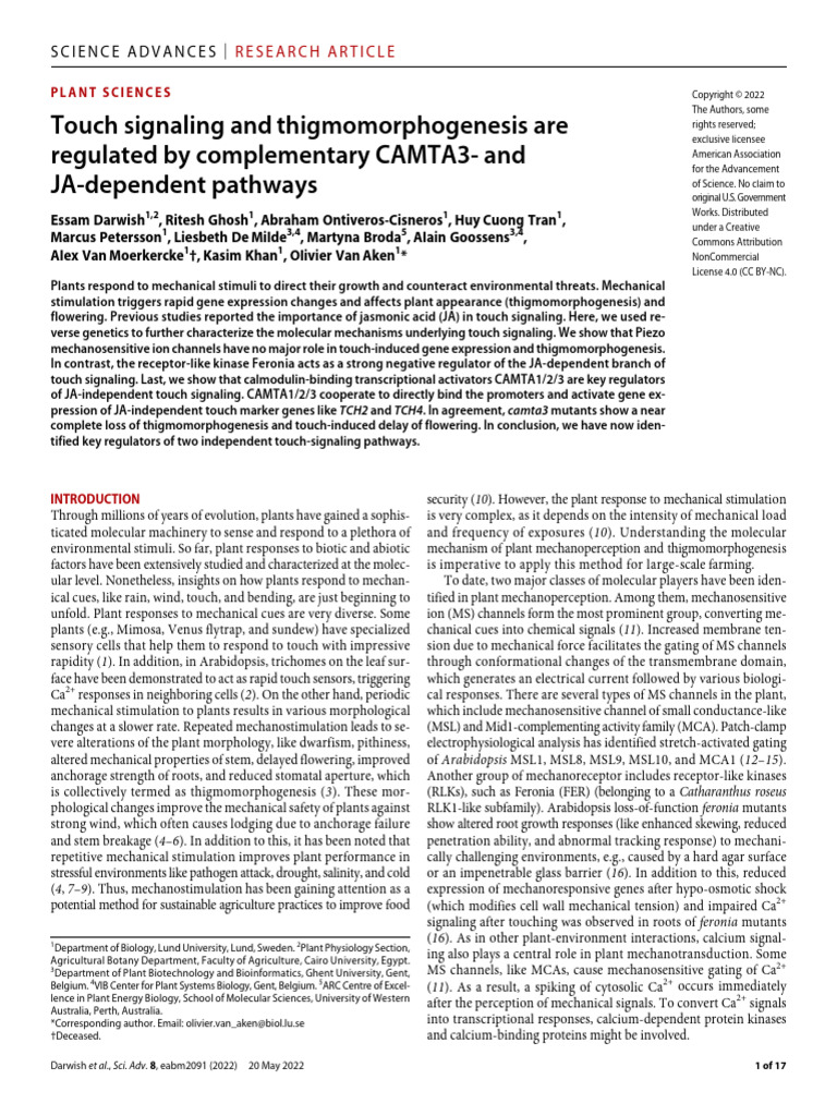 sciadv.abm2091 | PDF | Cellular Processes | Life Sciences
