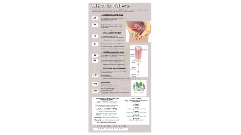 POP Q Infographic | PDF | Vagina | Mammal Reproductive System