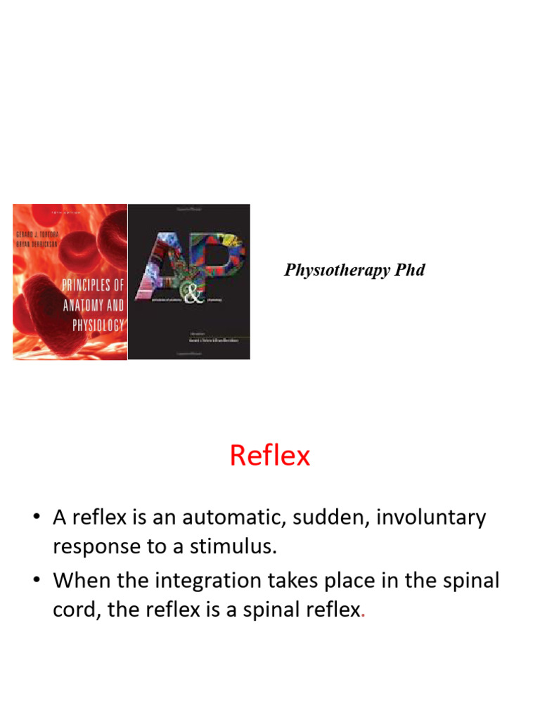 Ch 5 the Spinal Cord and Spinal Nerve,Reflex | PDF | Motor Neuron ...