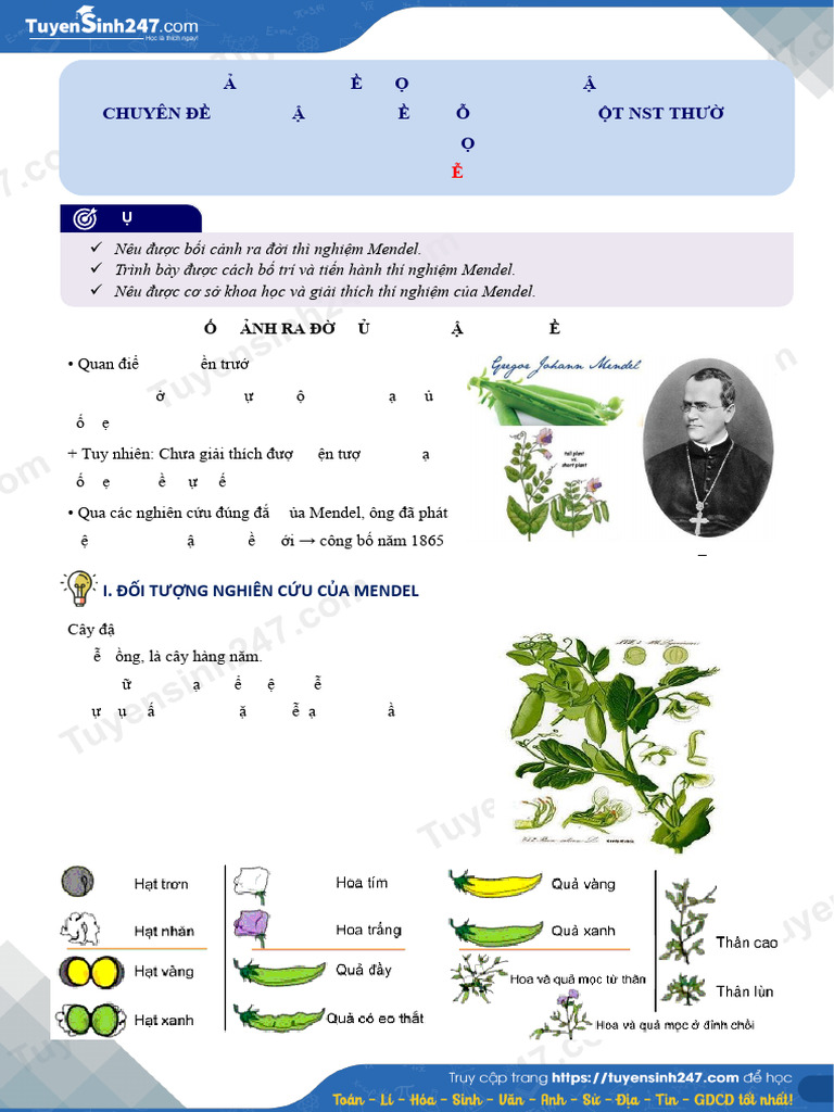 Quy Luat Menden Quy Luat Phan Li 1720248387 | PDF