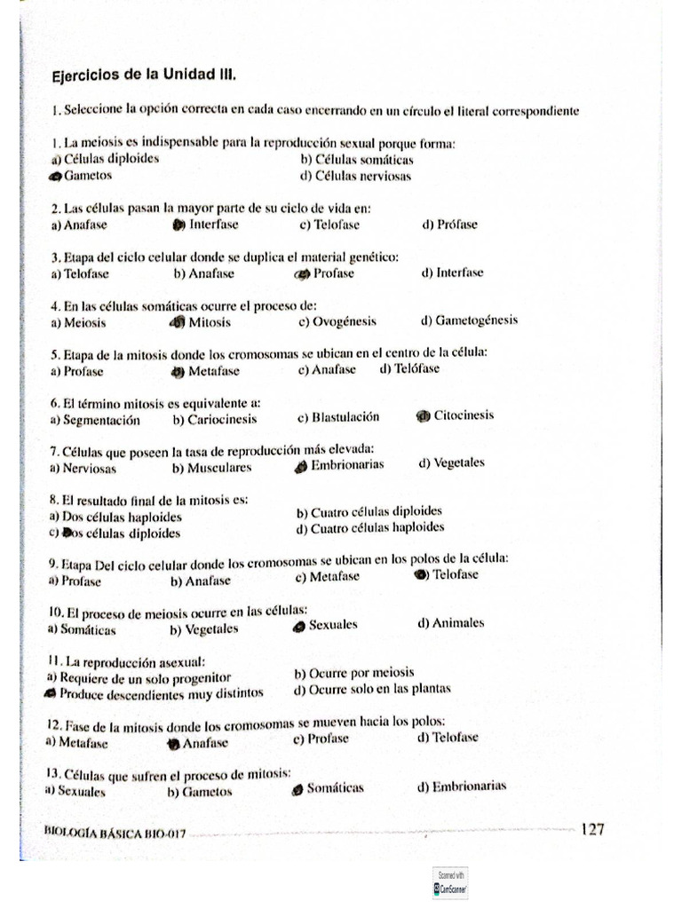 Actividad de La Unidad 4 | PDF