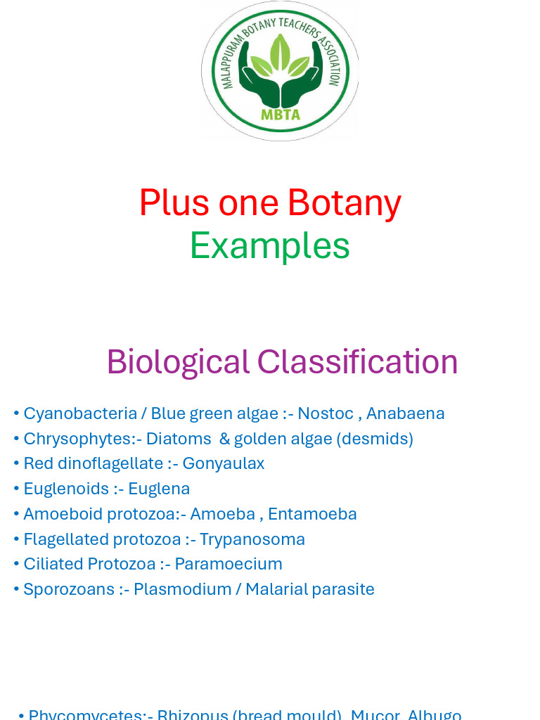 Examples in NCERT Text Plus One Botany | PDF | Cell (Biology) | Leaf