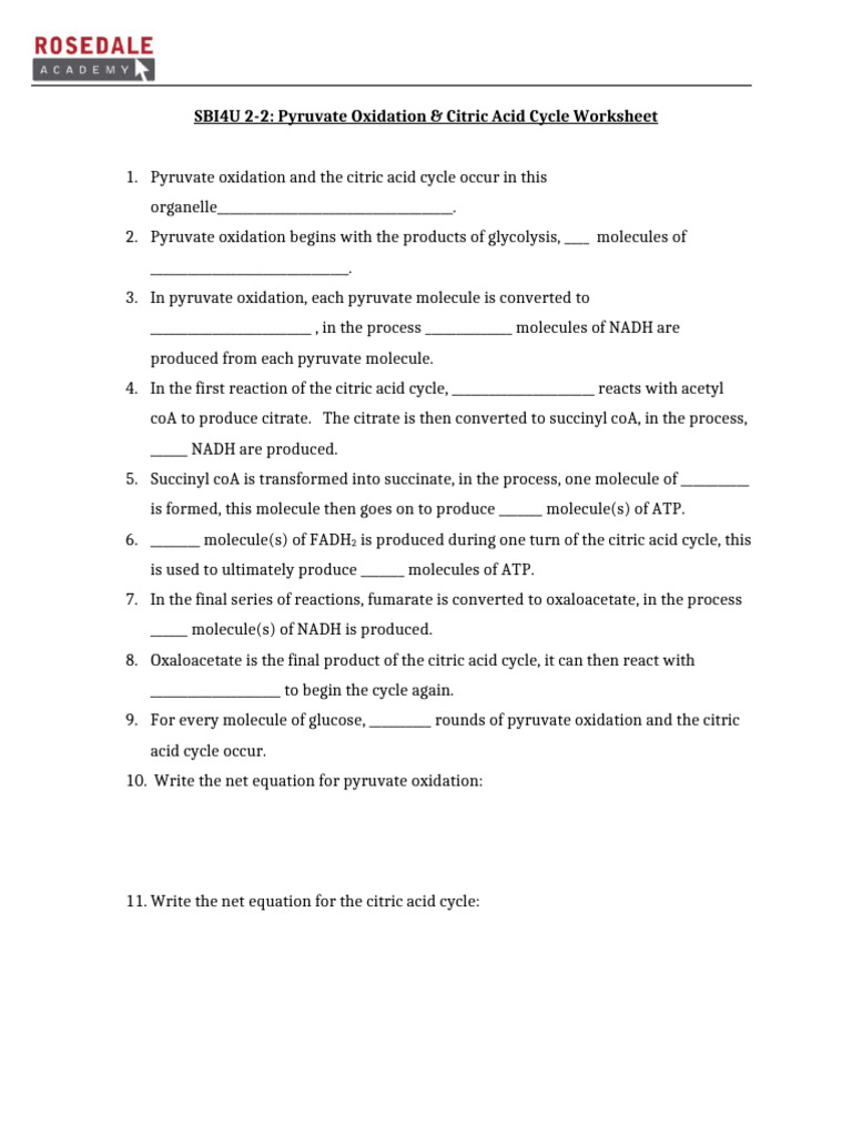 2-2C Pyruvate Oxidation and Citric Acid Cycle | PDF