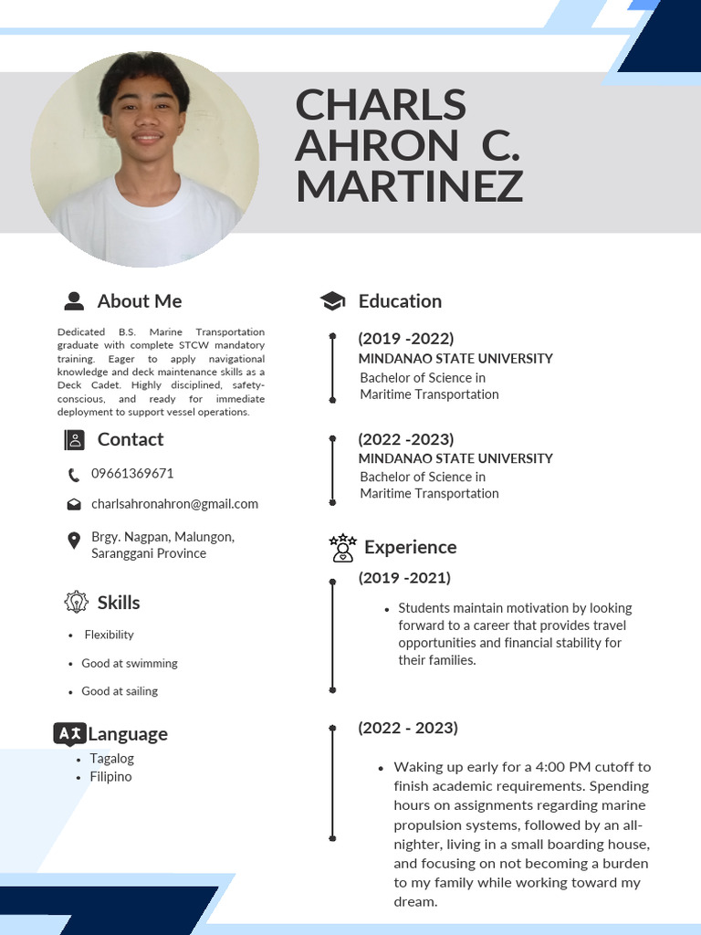 Modern Minimalist Professional CV Resume | PDF