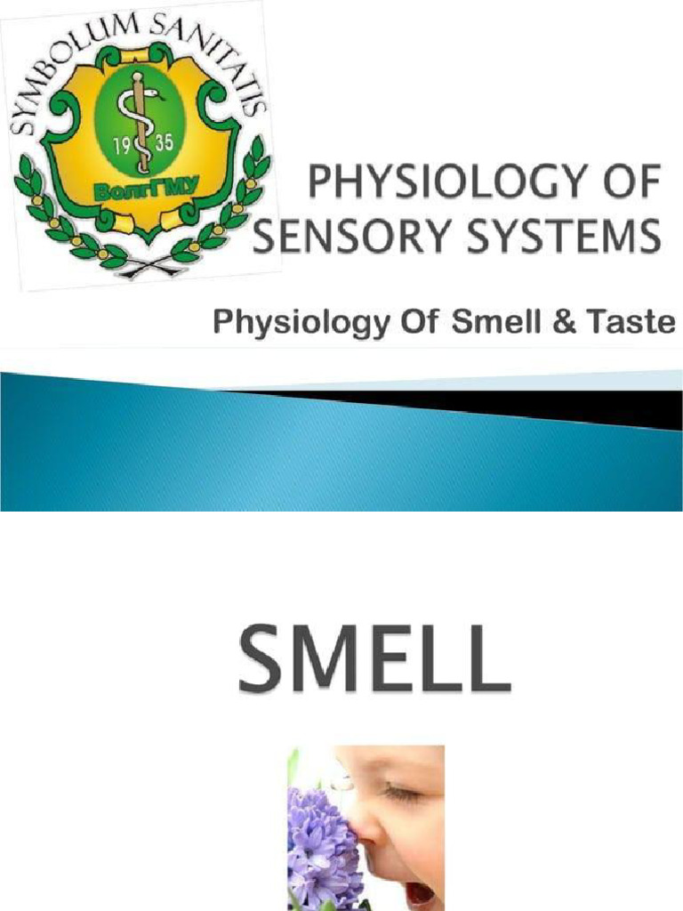 Smell and Taste Physiology | PDF