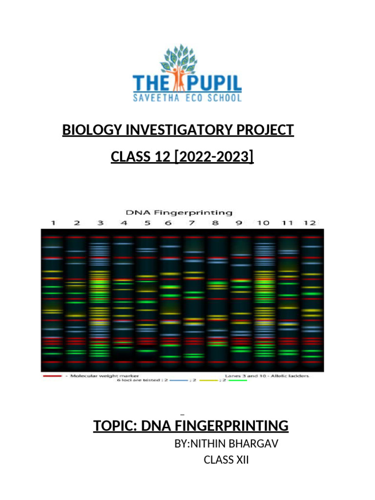 Nithin Bio Project | PDF | Gel Electrophoresis | Dna