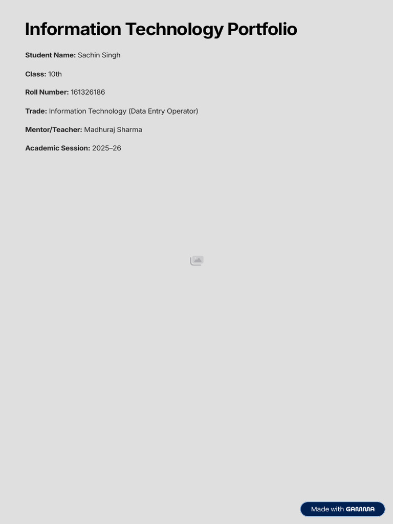 Information Technology Portfolio (1) | PDF | Spreadsheet | Databases