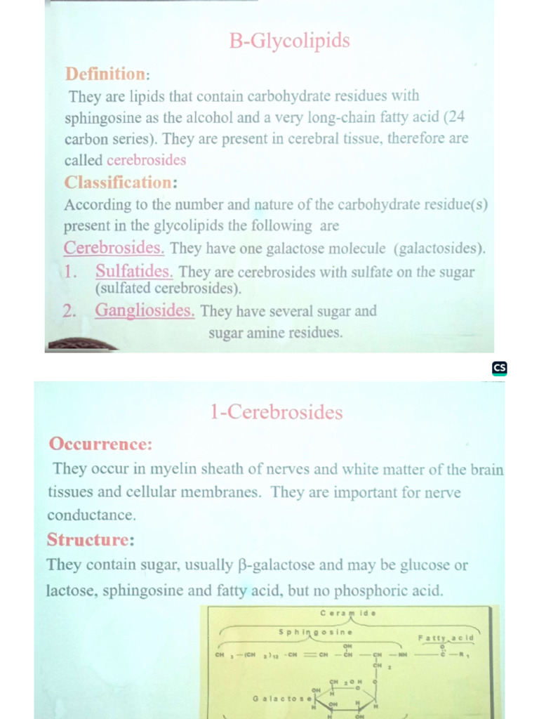 Biochem After Mids Lec-2 | PDF