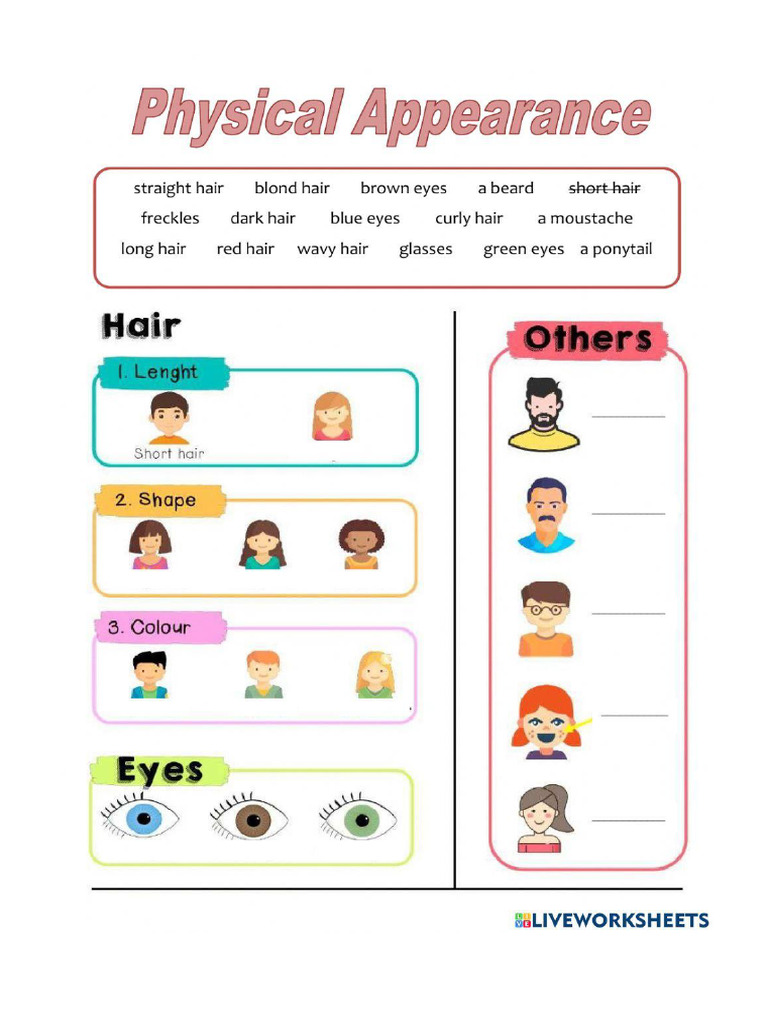 Describing People Physical Appearance Worksheet 2 | PDF