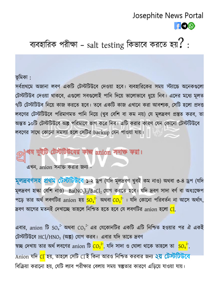Salt Testing | PDF