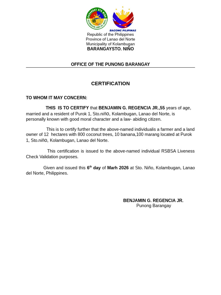 Certification For Rsbsa 2026 | PDF
