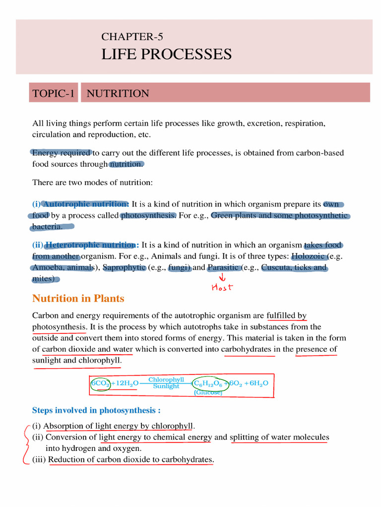 Life Process BIOLOGY Notes (E) R | PDF