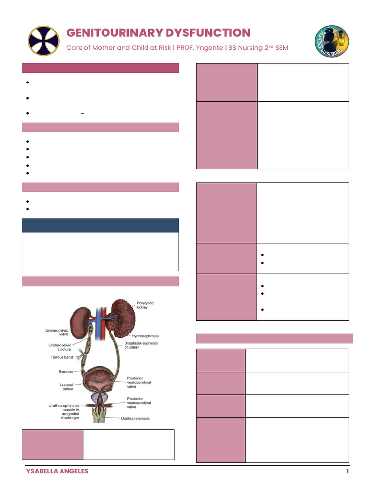 20 - The Child With Genitourinary Dysfunction | PDF | Urinary Tract ...