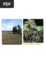 Folheto sobre o Rio Almorode 
