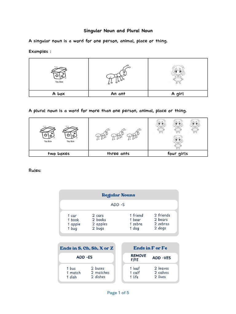 P2 Singular Noun and Plural Noun | PDF