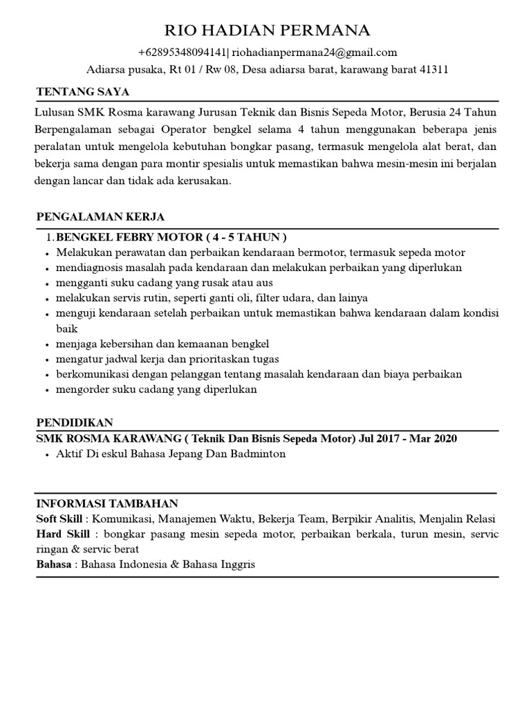 CV Rio | PDF