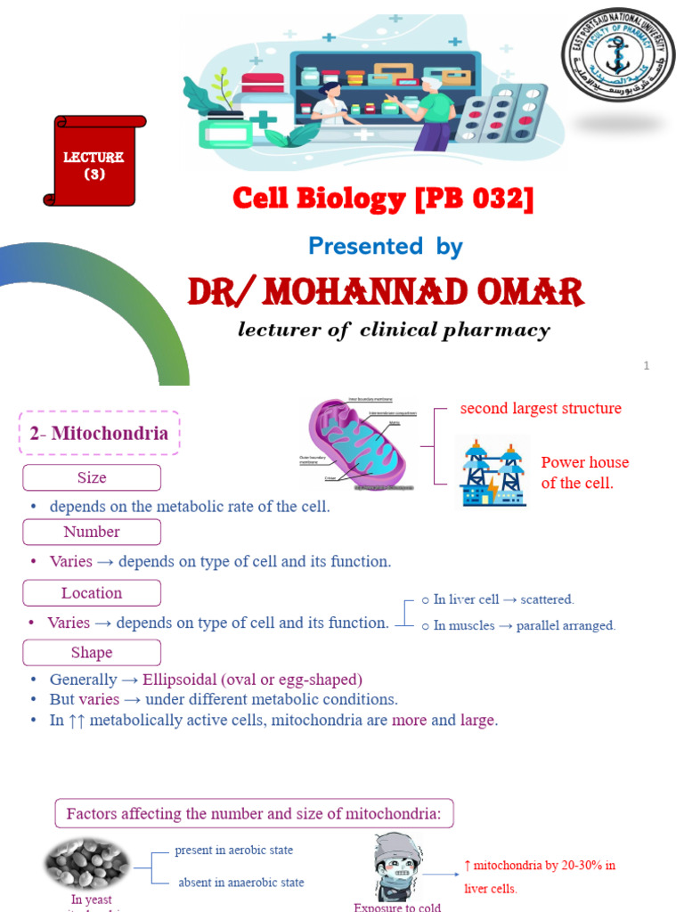 Lec 3 Cell Biology | PDF