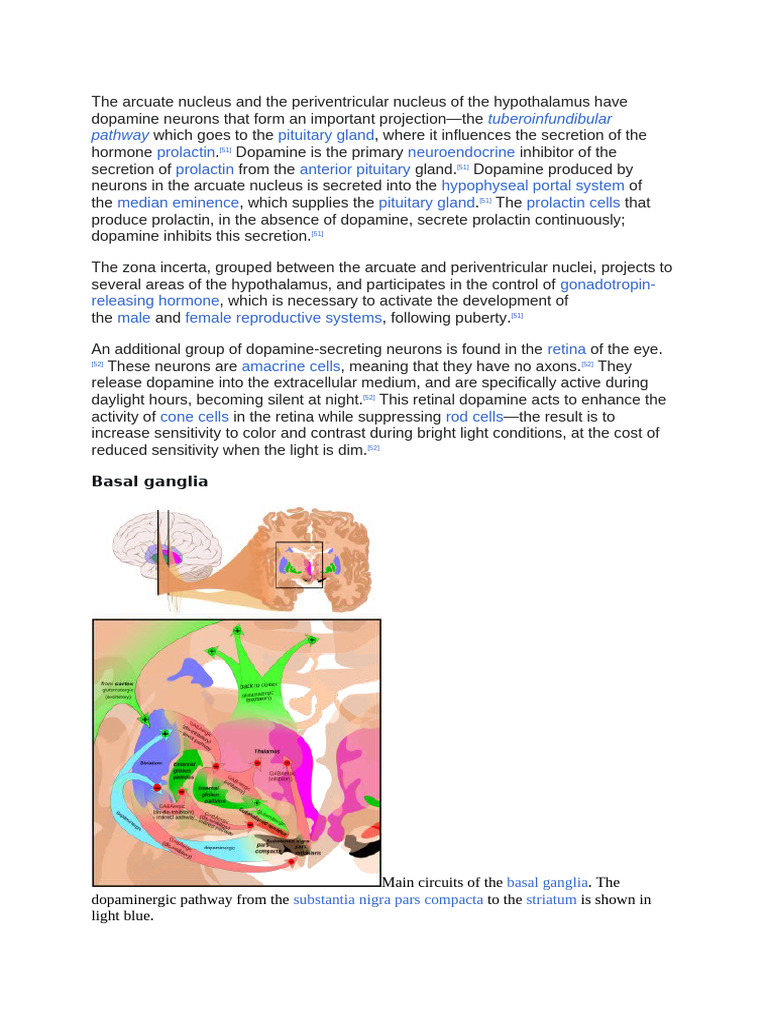 The Arcuate Nucleus and The Periventricular Nucleus of The Hypothalamus ...